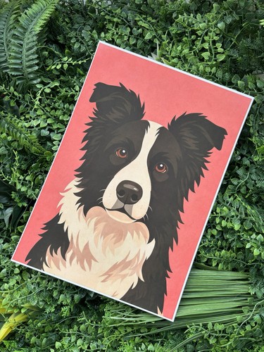 Border collie dog - border,
