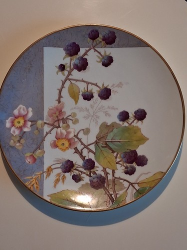 Antique cauldon ltd blackberry - cauldon,