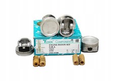 Teikin piston set for Hyundai