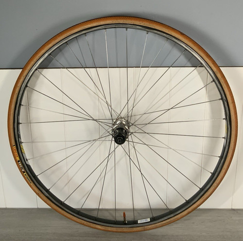 Campagnolo omega rear - omega, wheel