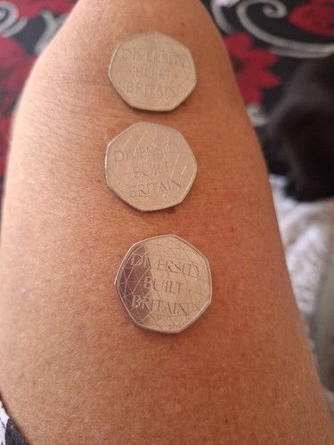 Diversity built britain 50p - diversity,