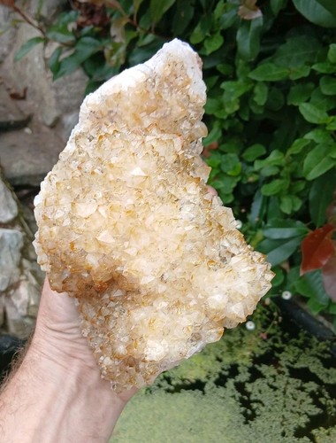 Citrine crystal cluster - citrine, brazil