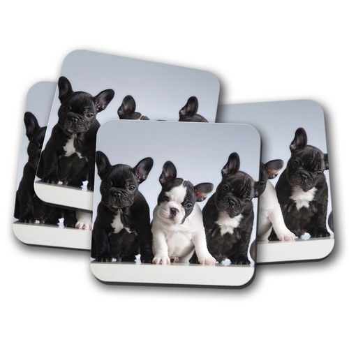 Set adorable french - 4,