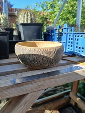 Bonsai clay poy ideal for - bonsai,