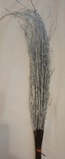 Painted Birch Branches In