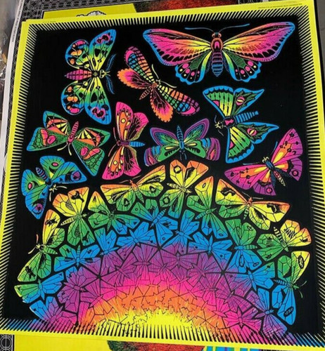 Butterflies vintage 1970 - vintage, 1970's