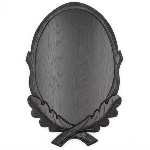 Trophy shield for - shield, mount