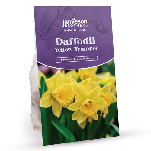 Yellow trumpet daffodil - daffodil, bulbs