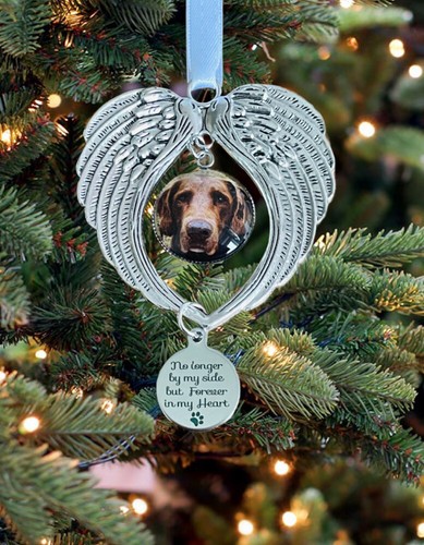 Dog cat pet memorial gift - memorial,