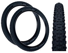 PAIR Schwalbe RAPID ROB 29 x
