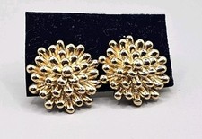 Gold-Toned Anemone Coral