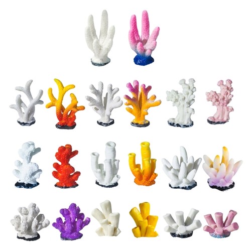 10lots high quality corals - quality,
