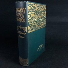 Insects At Home British