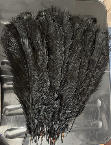Black natural ostrich feather - natural,
