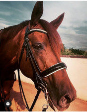 PATENT LEATHER DOUBLE DRESSAGE