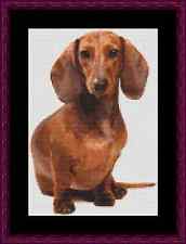 Dachshund Dog Cross Stitch Kit