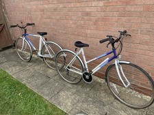 Raleigh Pioneer Classic