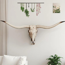 Longhorn Skull, Cow Skull Wall