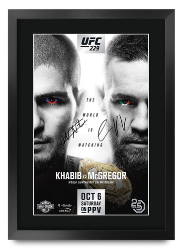 Ufc 229 fight khabib - fight,