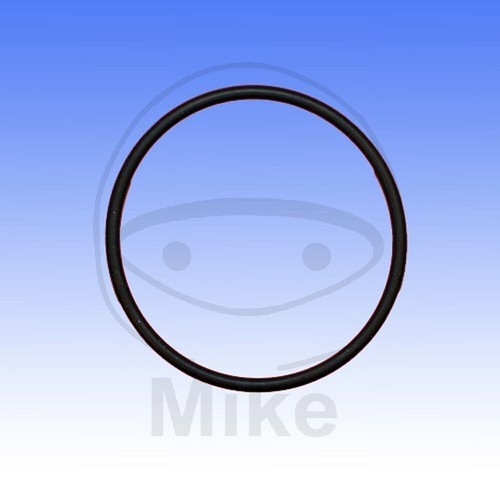 Valve gasket ring - gasket, o-ring