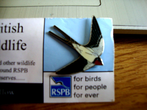 Rspb vintage enamel pin - vintage,