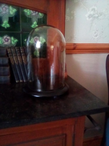 Glass display dome - glass,