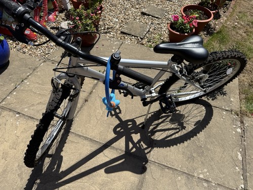 Youth bike comes with - bike.,