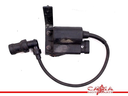 Ecu unit - ecu, ignition)