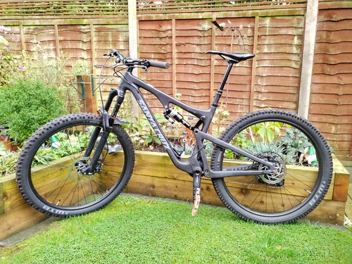 Santa cruz bronson - santa, medium