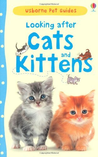 Looking after cats - looking, kittens