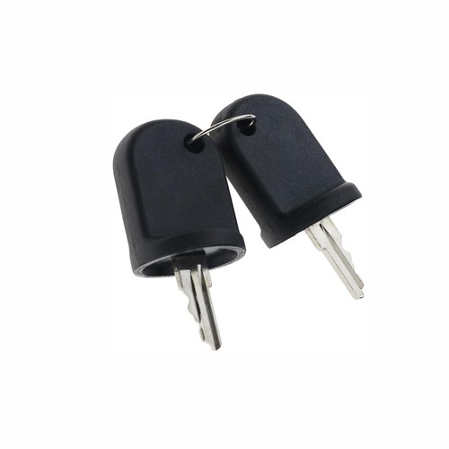 2pcs ignition keys 611282 for - ignition,