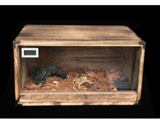 Wooden Reptile Amphibian Thermometer Turtle Snake Cage Tank Box Home Pet Feeding