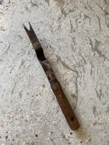 Dandelion weed puller - dandelion,