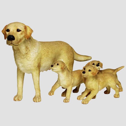 Labrador and three - labrador, pups