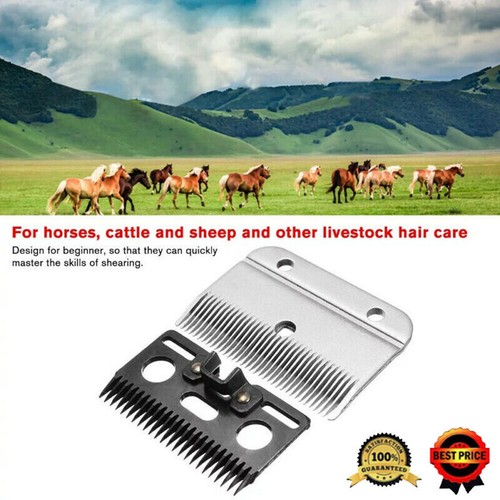 Heavy duty medium horse - heavy-duty,