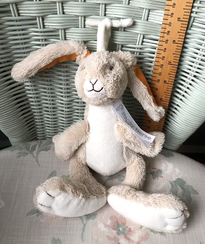 Happy horse bunny - happy,