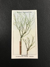 1938 Wills's Garden Hints #23