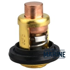 66M-12411 Thermostat Fit