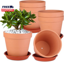 6 Pack 6 Inch Terracotta &