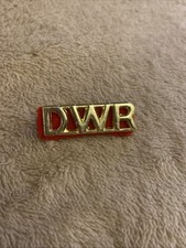 Duke Of Wellingtons Regiment