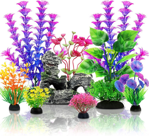Quozuo fish tank - fish,