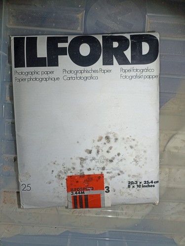 Ilford photographic paper - photographic, 25