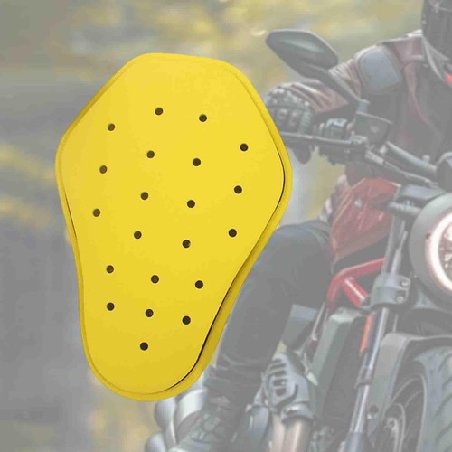 Motorcycle jacket back - motorcycle,