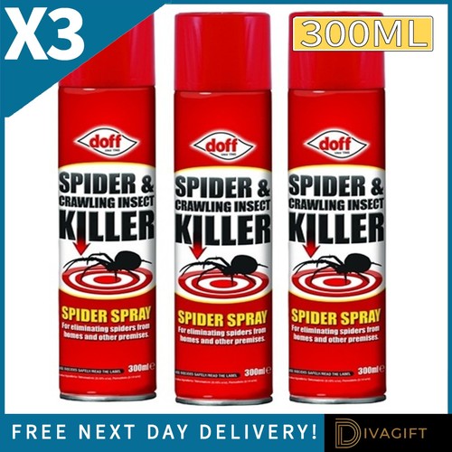 Doff spider crawling - x,