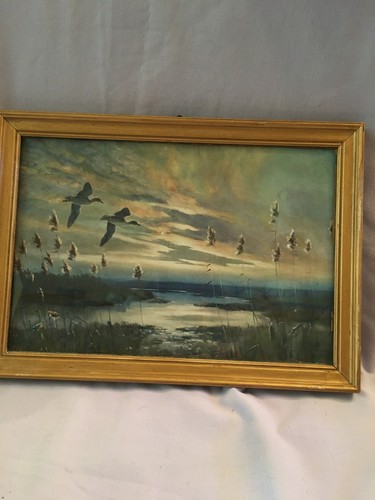 Peter scott vintage framed - scott,