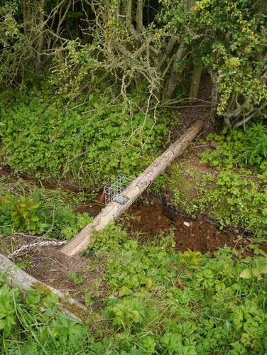 Photo fenn trap near - photo,