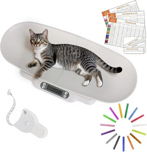 Digital baby pet - &,