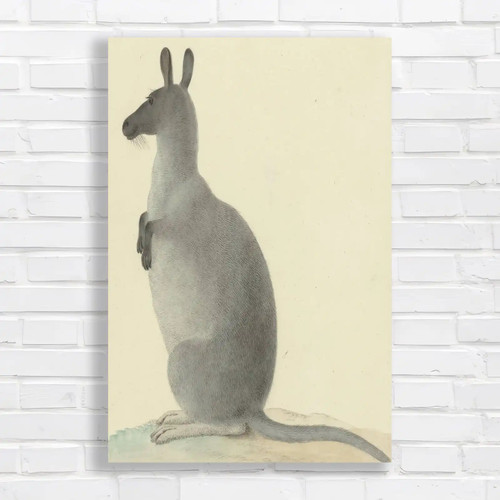 Whimsical rabbit canvas print - rabbit,