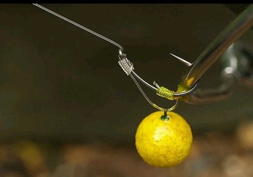 Iq2 rigs carp - iq2, d