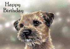 BORDER TERRIER DOG BIRTHDAY